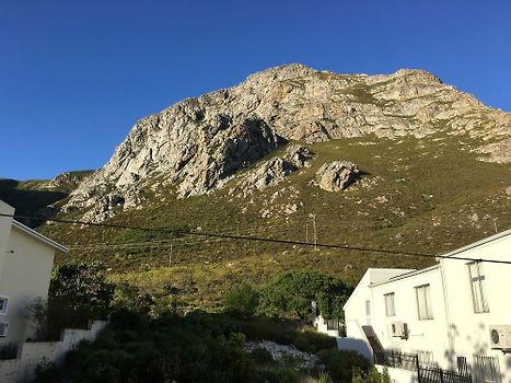 View from terrace at rear